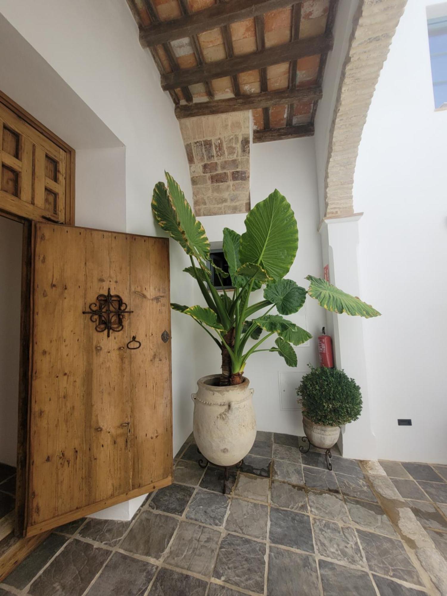 Casa Del Museo - Agua Lägenhet Medina-Sidonia Exteriör bild